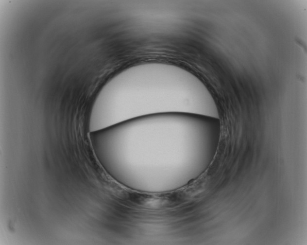 X0000096730504200802051132