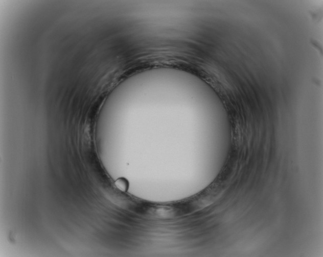X0000096730506200802051132