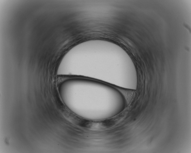 X0000096730507200802051132