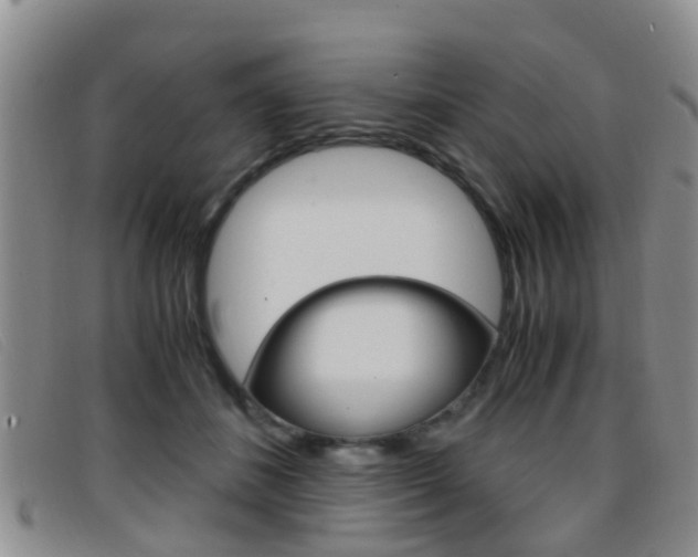 X0000096730508200802051132