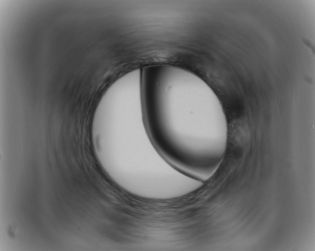 X0000096730509200802051132