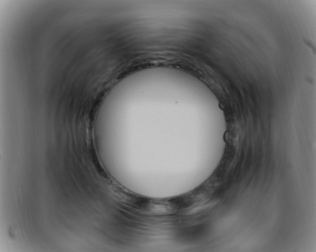 X0000096730510200802051132