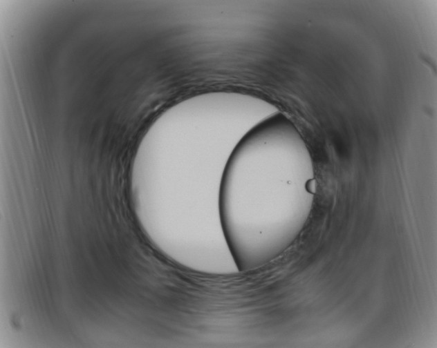 X0000096730511200802051132