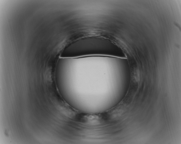 X0000096730512200802051132
