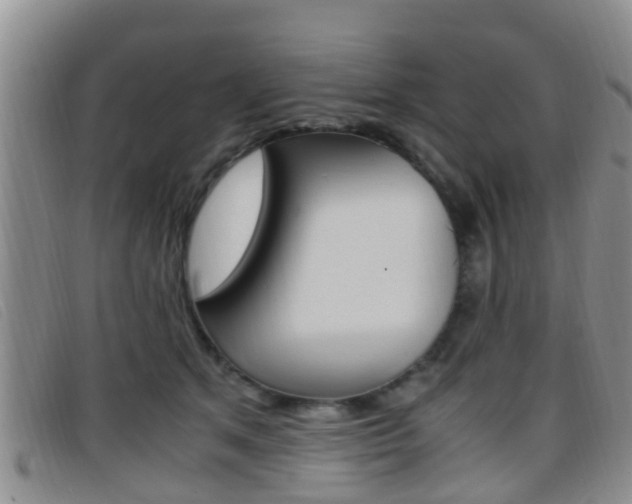 X0000096730513200802051132