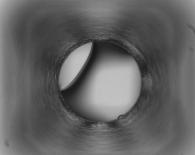 X0000096730517200802051132