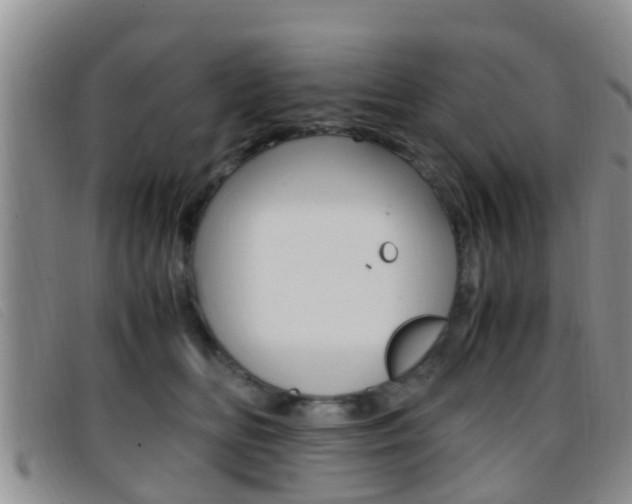 X0000096730518200802051132