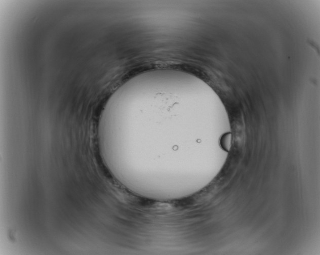X0000096730519200802051132