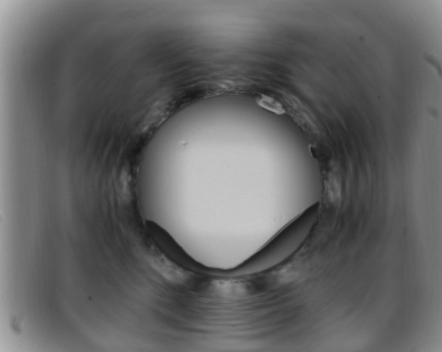X0000096730520200802051132