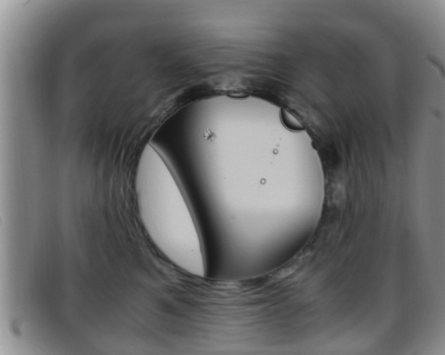 X0000096730521200802051132