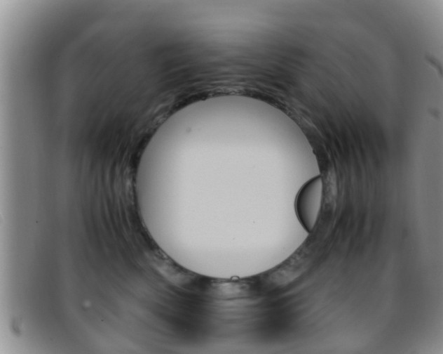 X0000096730522200802051132