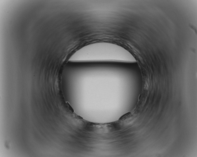 X0000096730524200802051132
