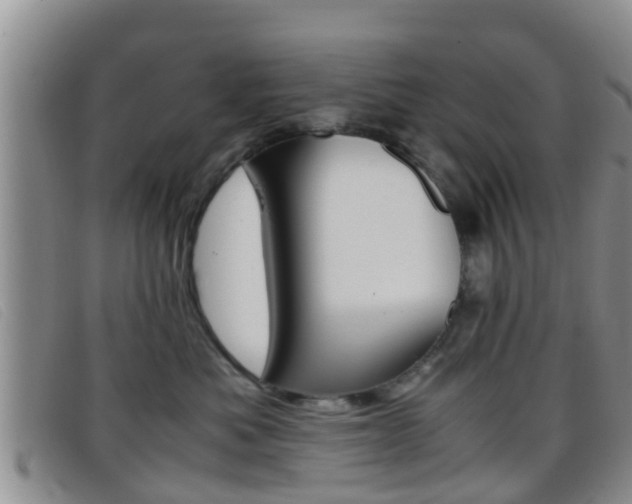 X0000096730525200802051132