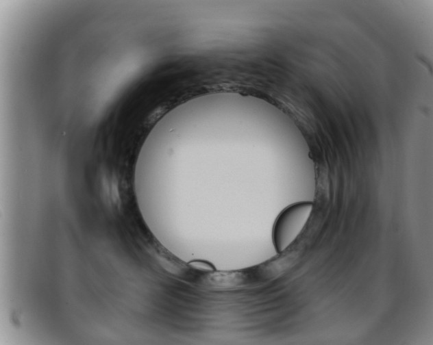 X0000096730526200802051132