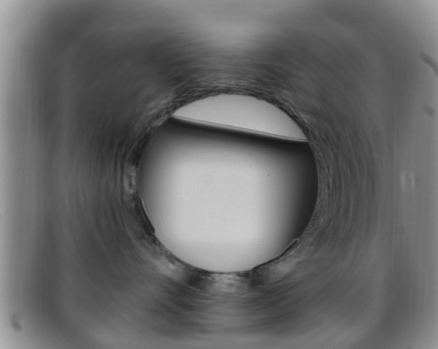 X0000096730528200802051132