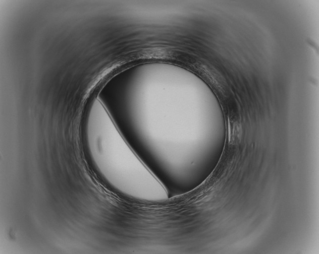 X0000096730531200802051131