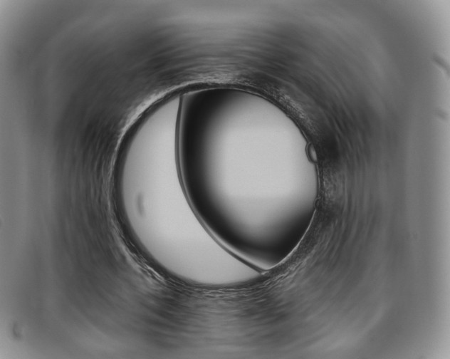 X0000096730532200802051131