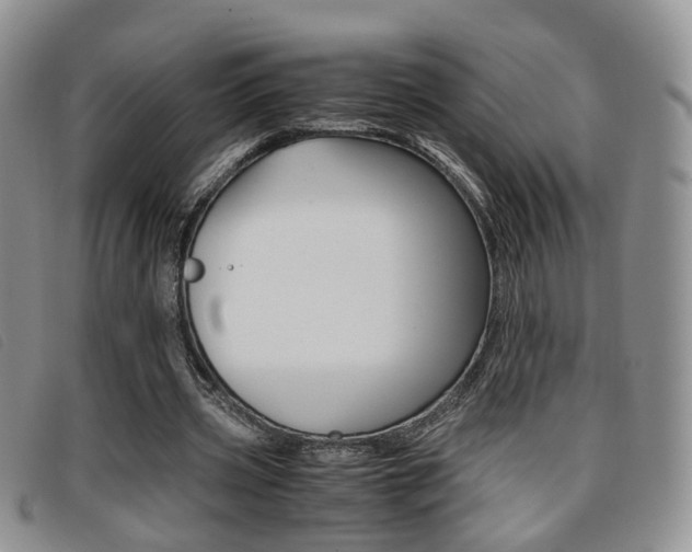 X0000096730533200802051131