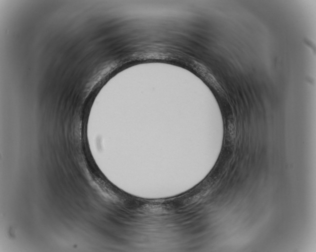 X0000096730534200802051131