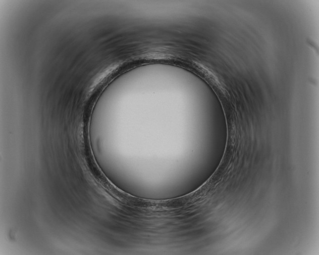X0000096730535200802051131