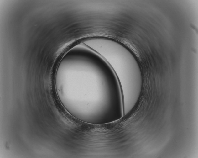 X0000096730536200802051131