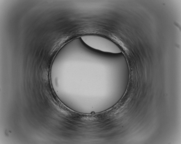 X0000096730537200802051131