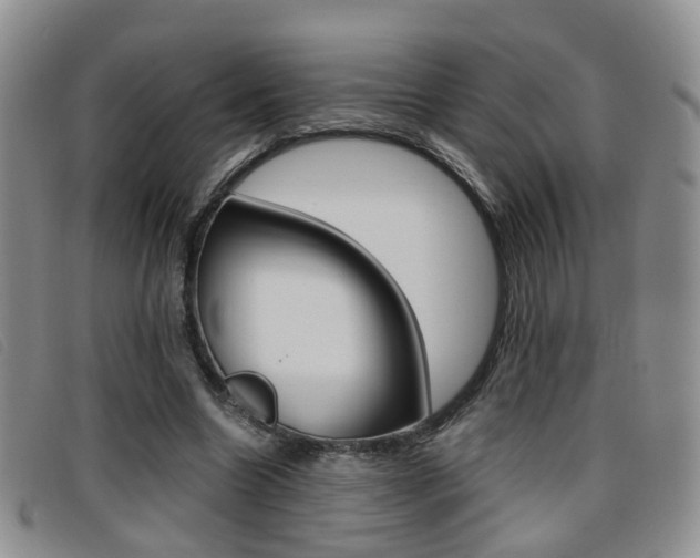 X0000096730538200802051131