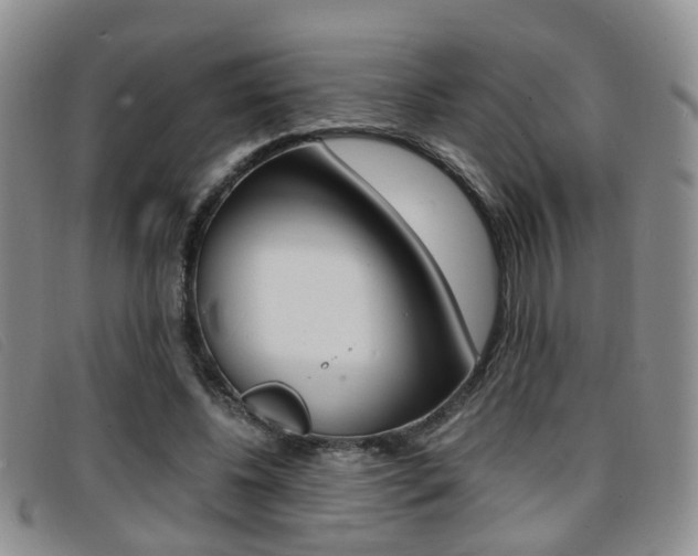 X0000096730540200802051131