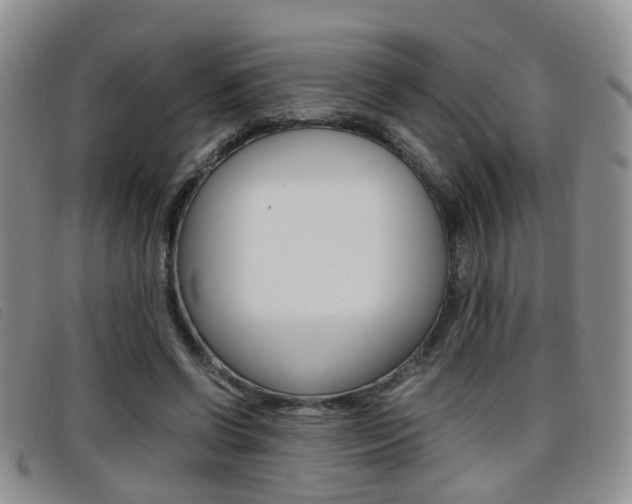 X0000096730542200802051131