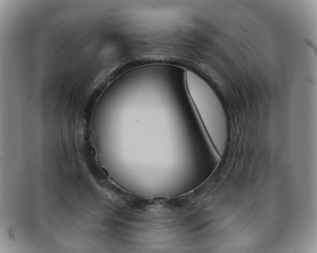 X0000096730544200802051131