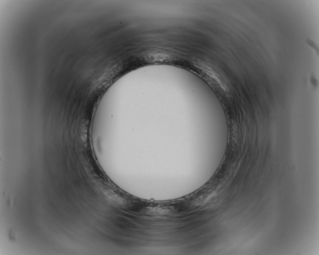 X0000096730545200802051131