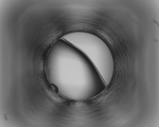 X0000096730546200802051131