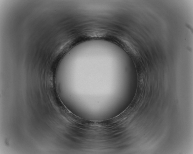 X0000096730547200802051131