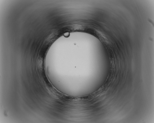X0000096730550200802051131