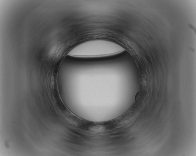 X0000096730551200802051131