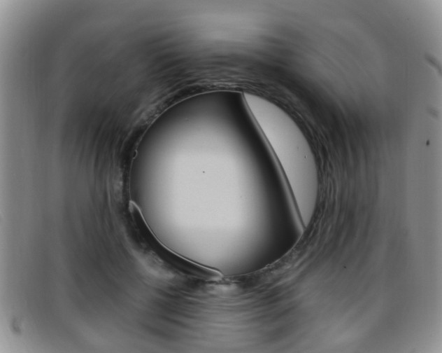 X0000096730552200802051131
