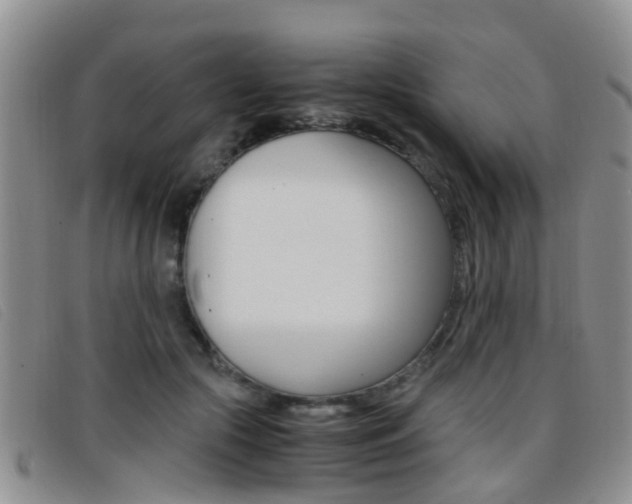 X0000096730553200802051131