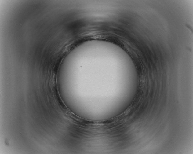 X0000096730554200802051131