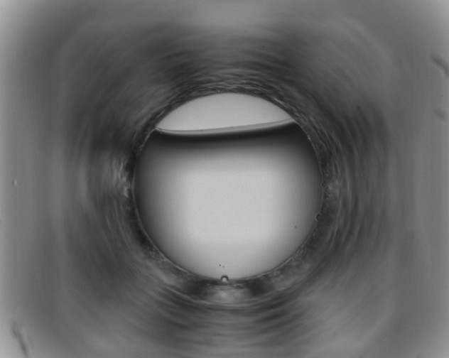 X0000096730555200802051131