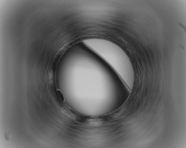 X0000096730556200802051131