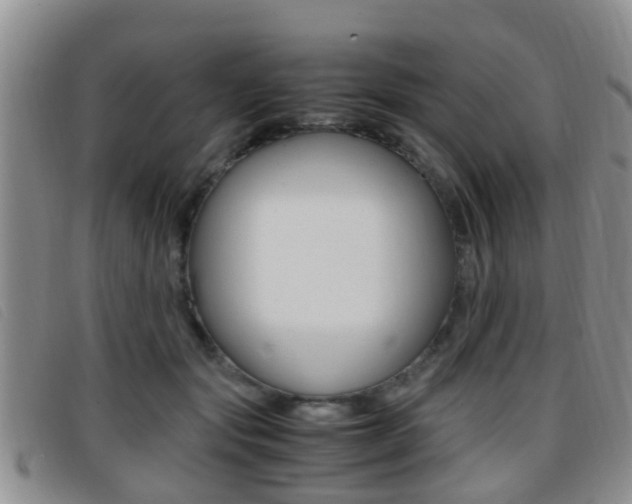 X0000096730557200802051131