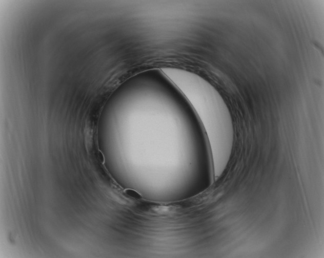 X0000096730558200802051131