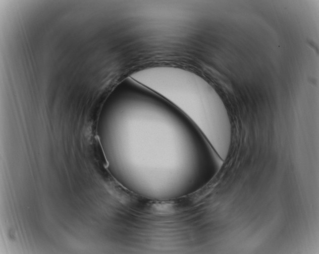 X0000096730560200802051131