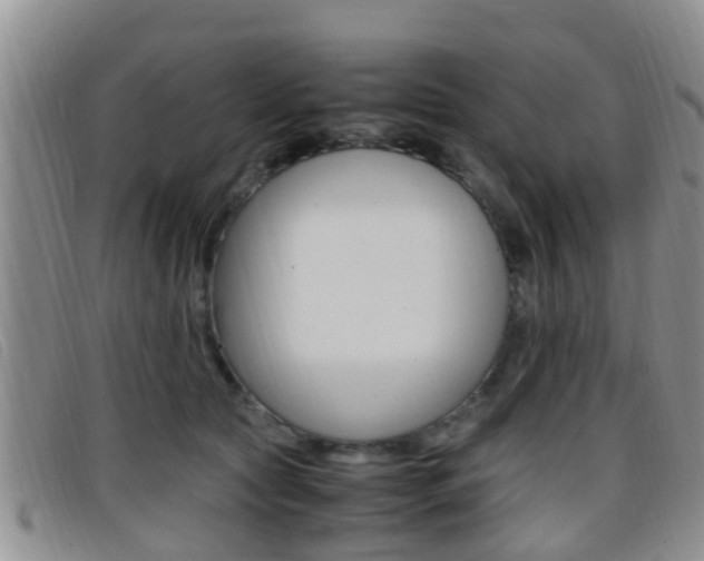 X0000096730561200802051131