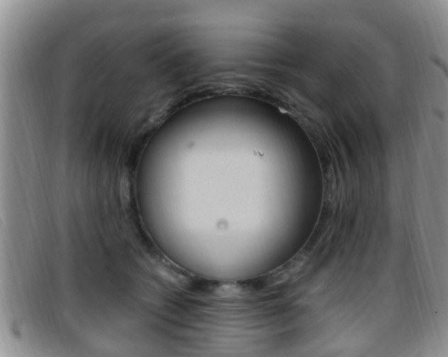 X0000096730562200802051132