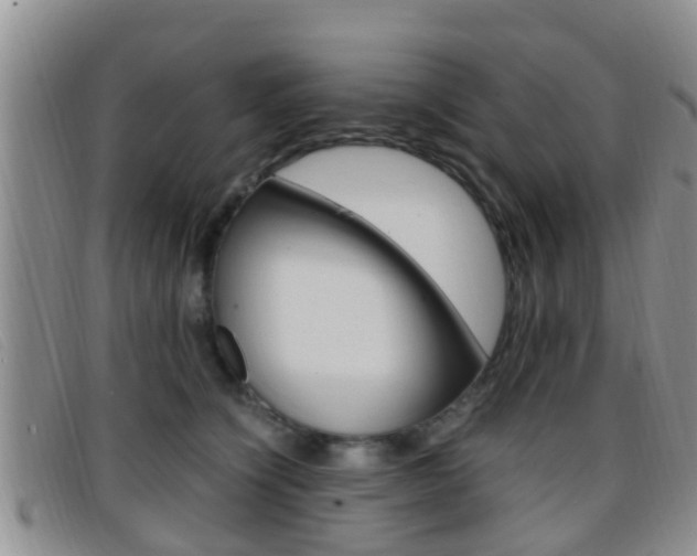 X0000096730564200802051132