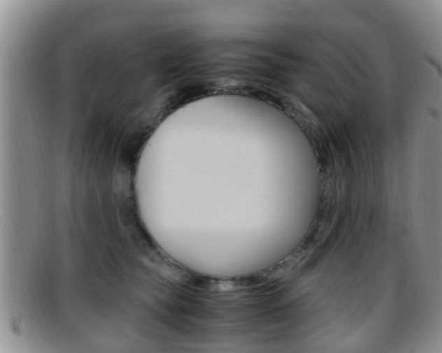 X0000096730565200802051132