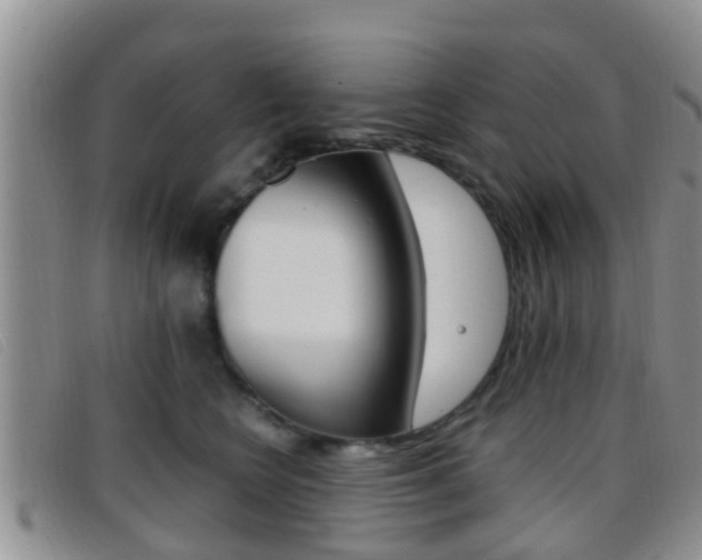 X0000096730566200802051132
