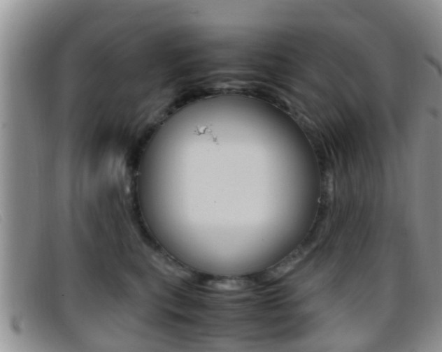 X0000096730567200802051132