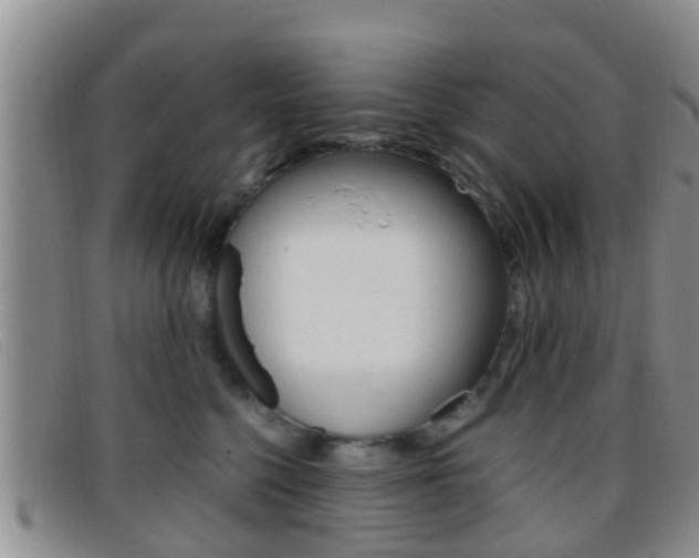 X0000096730568200802051132